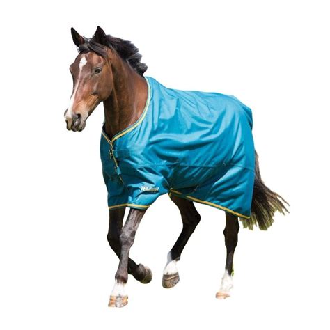 Top 10 Cheap Horse Rain Sheets 2018 - Best Horse Blankets