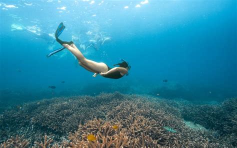 Guide to Snorkeling at Crystal Bay in Nusa Penida