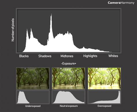 How to Use Histograms to Improve Your Photography – Camera Harmony