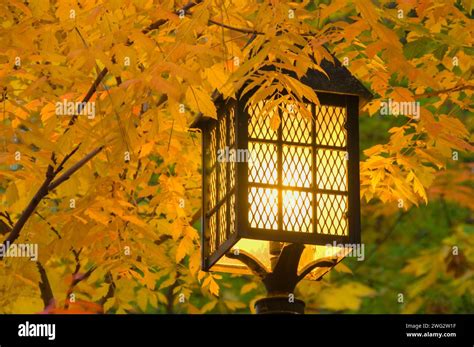 Park lamp, Lithia Park, Ashland, Oregon Stock Photo - Alamy