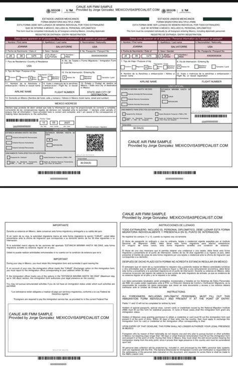 DIGITAL CANJE FMM - Mexico Visa Specialist