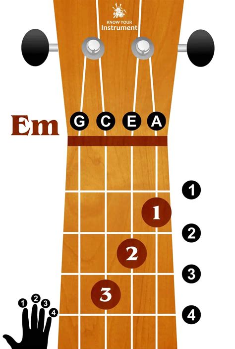 Basic Ukulele Chords For Beginners - Know Your Instrument