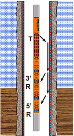 The Cement Bond Logging tools have become the standard method of ...