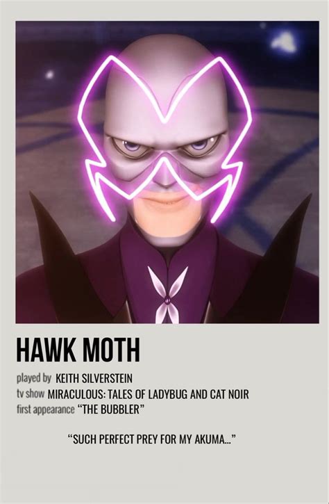 hawk moth