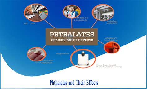 What is Phthalates - Netsol Water