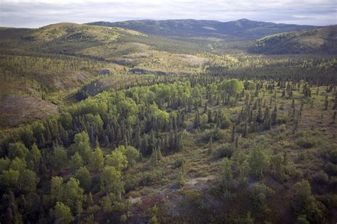 Aerial view of mountains at Selawik National Wildlife Regue | Creazilla