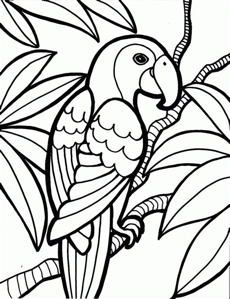 Bird coloring pages to download and print for free