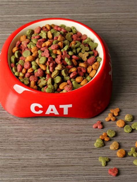 5 Best Urinary Cat Food Prescription Alternatives - Better With Cats