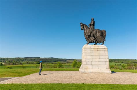 Bannockburn - Midland Bluebird