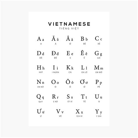 Vietnamese Cursive Alphabet