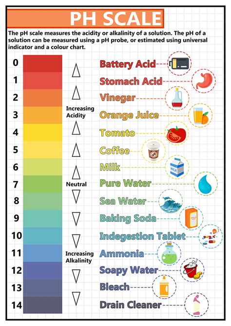 GCSE Science - pH Scale Educational Poster - Size A2 | Gcse science, Chemistry education ...