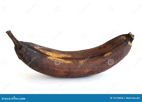 Rotten Banana Royalty-Free Stock Photography | CartoonDealer.com #33796595