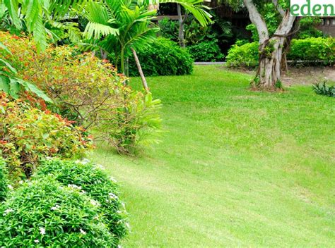 How To Plant Grass On Sloped Areas? | Eden