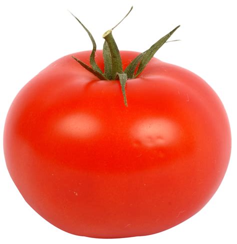 HQ Tomato PNG Transparent Tomato.PNG Images. | PlusPNG