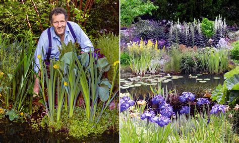 Monty Don shows how to create a wildlife pond | Garden pond design, Small water gardens, Pond plants