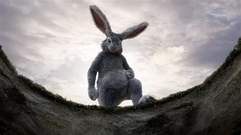 Rabbit Hole - AarenZehida