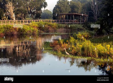 Alachua sink hi-res stock photography and images - Alamy