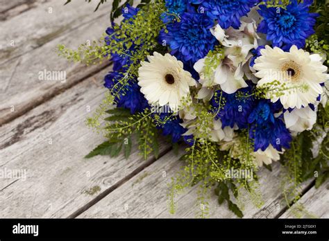 blue and white flowers bouquet with chrysanthemum. estonian flag colors - symbol of freedom ...