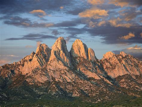 Organ Mountains Near Las Cruces New Photograph by Tim Fitzharris