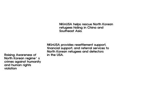 Human Rights Crisis of North Koreans: Who is NKinUSA (North Korean refugees in the United States ...