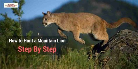 How to Hunt a Mountain Lion | Getting Your First Kill - Captain Hunter