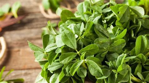 Fenugreek leaves recipes: ರುಚಿಕರವಾಗಿ ಮೆಂತ್ಯ ಸೊಪ್ಪಿನ ಕಡುಬು ಮಾಡುವುದು ಹೇಗೆ? ಇಲ್ಲಿದೆ ರುಚಿಕರ ಕಡುಬು ರೆಸಿಪಿ