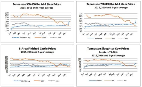 Market Highlights: Cattle Prices Hitting a Wall | Drovers