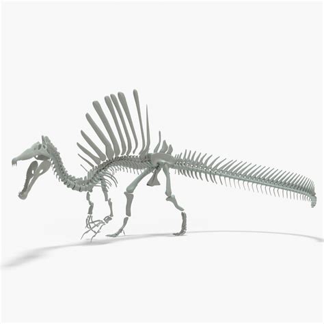 Spinosaurus Rigged Skeleton model - TurboSquid 2068905