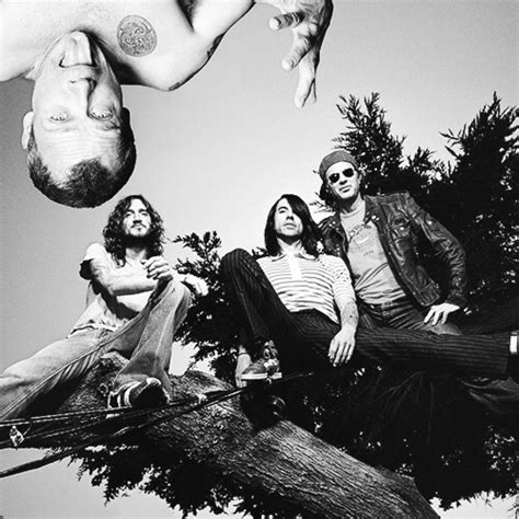 Red Hot Chili Peppers | Red hot chili peppers, Red hot chili peppers ...