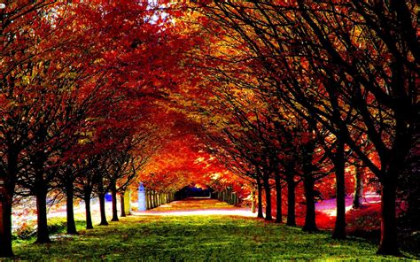 Free Download: Beautiful Autumn Desktop Wallpaper