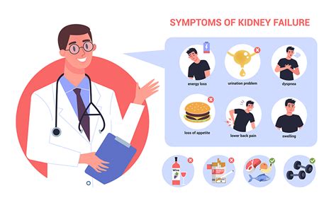 Ayurvedic Remedies For Kidney Failures - Ayukarma