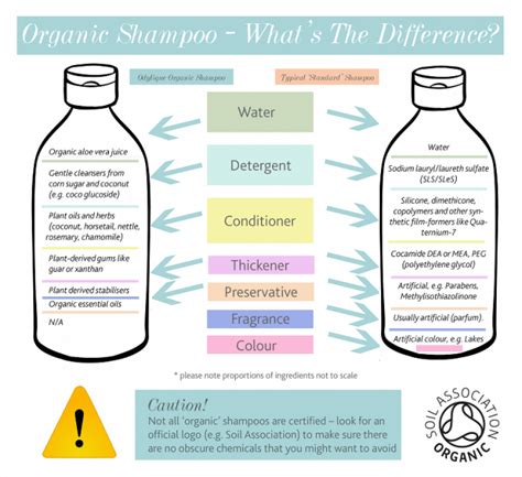 What is in Organic Shampoo?