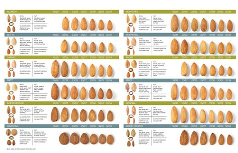 Longstanding Research Commitment to Tree Breeding Leads to Increased Efficiencies