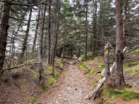 Hikers Guide To The Gaff Point Trail (Nova Scotia, Canada) - Hikers Movement