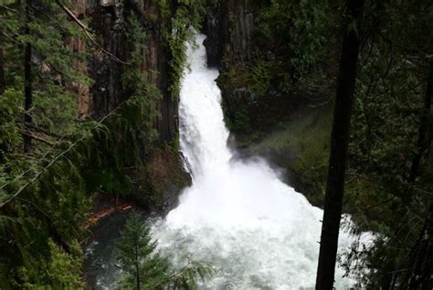 Toketee Falls Oregon: How to Get There and What to Expect