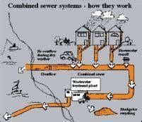 sewer gas smell in house health risks - Giuseppe Pinckney