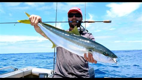 Yellowtail kingfish with the Average Angler fishing adventures - YouTube