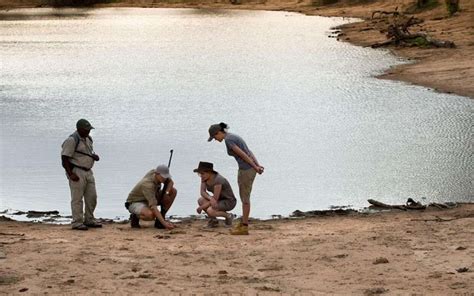 Tanda Tula Safari Camp, Timbavati Game Reserve, South Africa