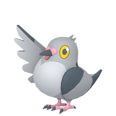 Pidove (Pokémon GO) - Best Moveset, Weakness, Counters, Shiny