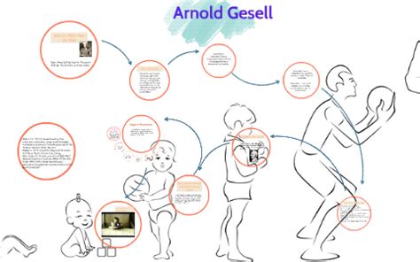 Arnold Gesell Theory Of Physical Development