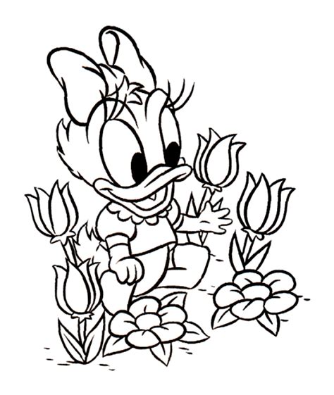 Free Daisy Flower Coloring Pages Free Printable Coloring Pages | The Best Porn Website