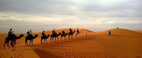 Jodhpur - Overnight Stay in Desert with Camel Safari