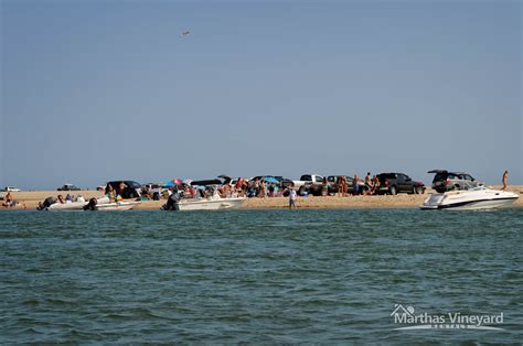 Vacation in Chappaquiddick Island on Martha's Vineyard