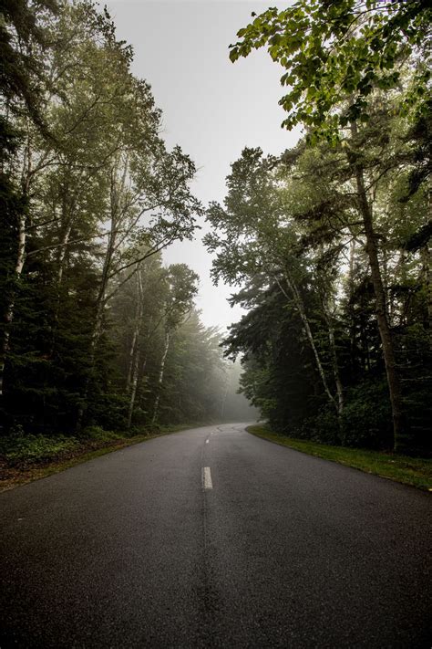 Acadia National Park - Victoria Andreozzi Photography