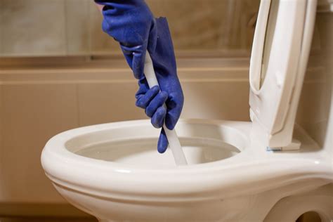 How To Clear Clogged Toilet | Storables