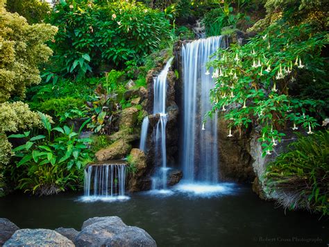 34 Download Gambar Pemandangan Hutan Tropis Serba Serbi Gambar - Riset