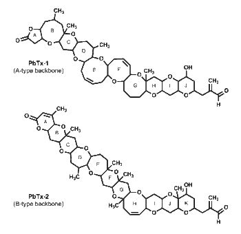 Brevetoxin - microbewiki