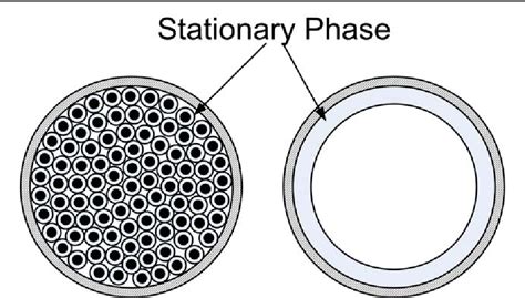 Column Gas Chromatography