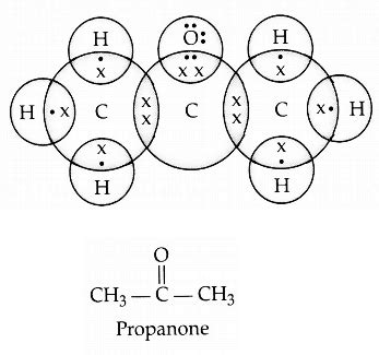 NCERT Solution for Class 10 Science Chapter 4 – Carbon and its Compounds – Brainiac 🧠