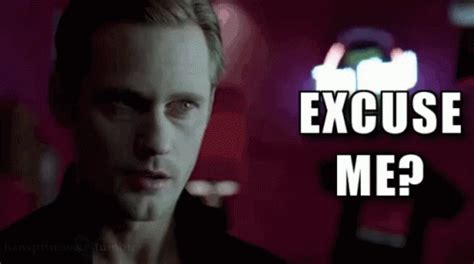 Excuse Me GIF - Excuseme Trueblood Alexanderskarsgard GIFs | Say more with Tenor